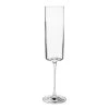 World Market Medi Crystal Champagne Flute