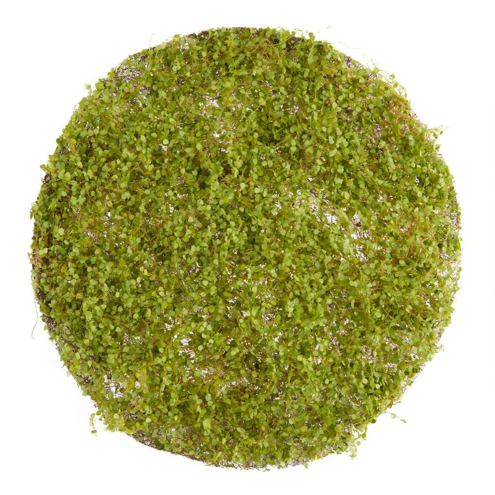 World Market Round Faux Boxwood Table Decor Mat 1 World Market Round Faux Boxwood Table Decor Mat