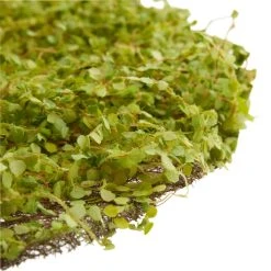 World Market Round Faux Boxwood Table Decor Mat 3 World Market Round Faux Boxwood Table Decor Mat -Cheap Dining Store unnamed file 1310