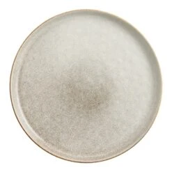World Market Vita Ivory And Brown Reactive Glaze Dinner Plate