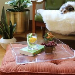World Market Clear Acrylic Serving Tray -Cheap Dining Store unnamed file 401