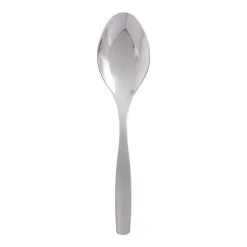World Market Luna Serving Spoon